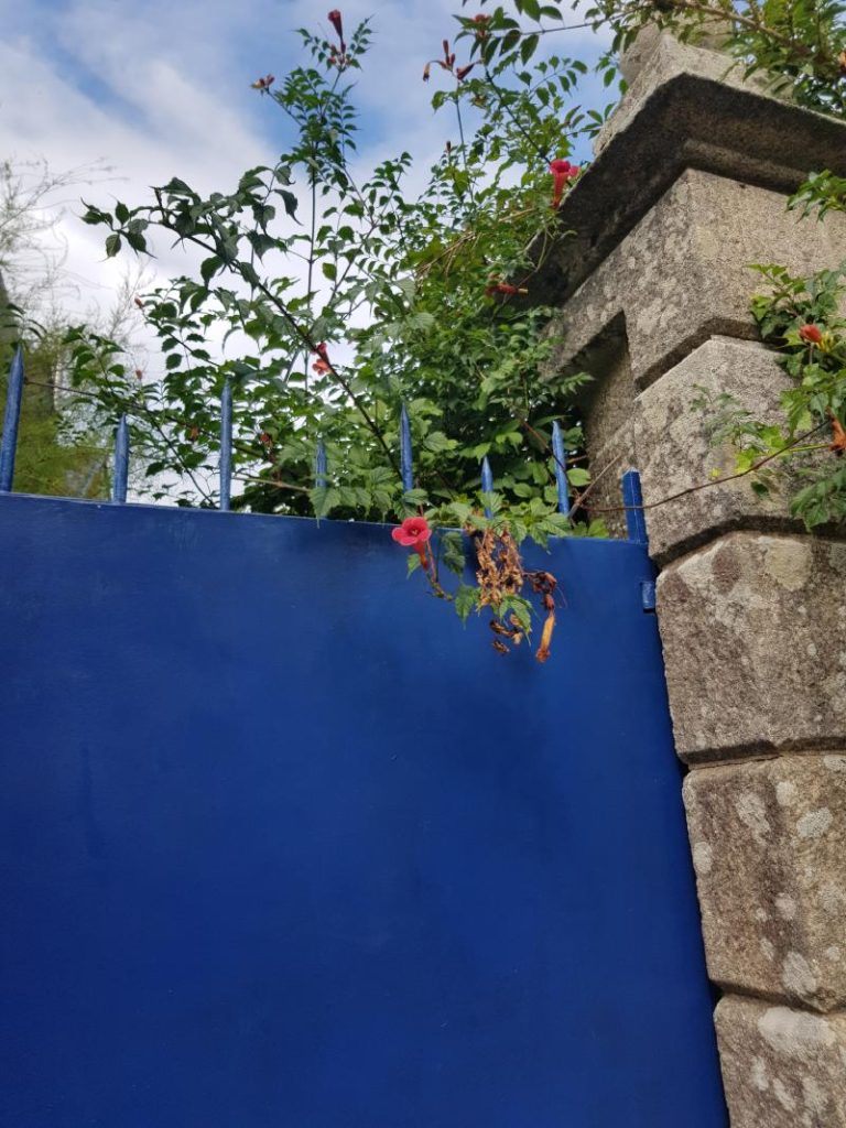 Blaues Tor mit Blumen zu Beitrag bunte Fensterläden