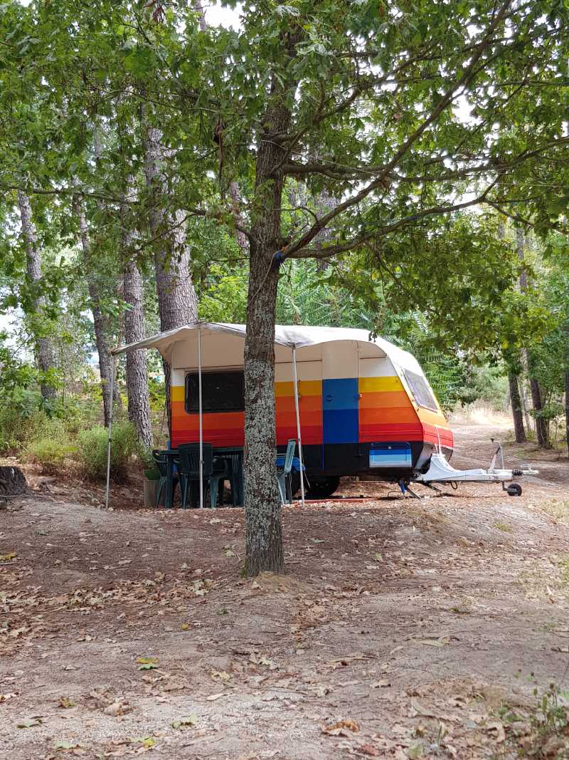 ein kleiner, bunt gestrichener Wohnwagen auf einem Campingplatz